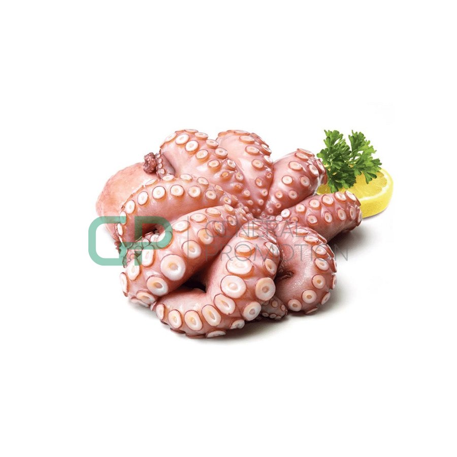 26-3.jpg Boiled Octopus Kg - Image 1