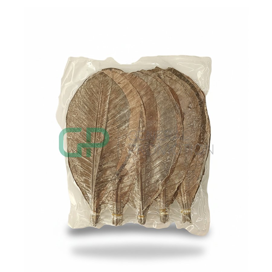 65.jpg Dried Magnolia Leaves - Image 1